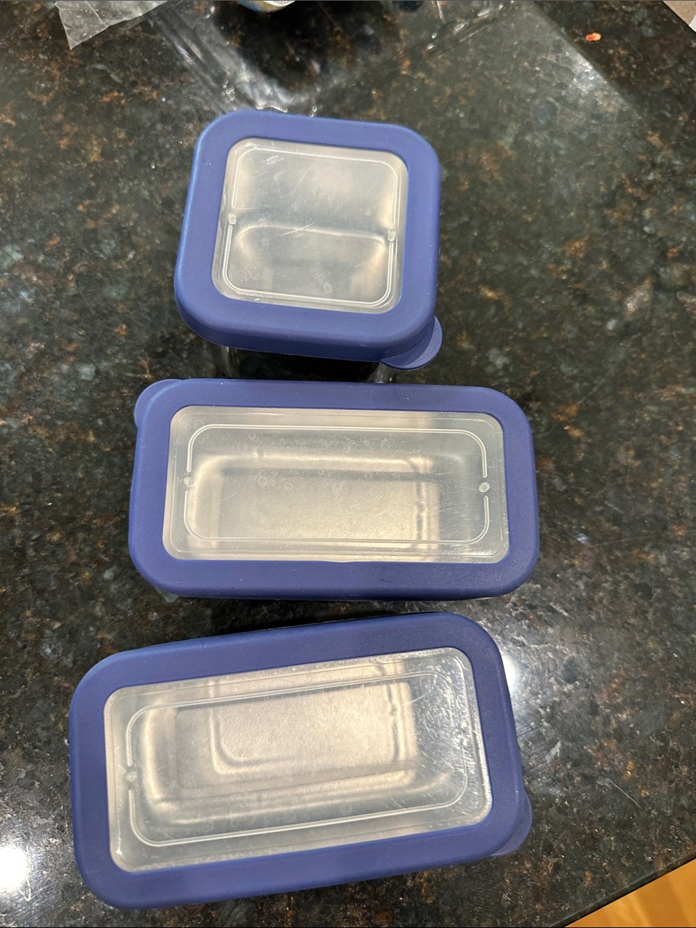 Navy Spencer PBK Silicone-Lidded Food Storage Containers stainless - Set of 3